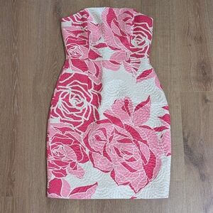 NWT Lilly Pulitzer Allegra Dress